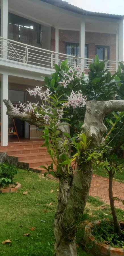 Linkin House Villa Phu Quoc Bagian luar foto